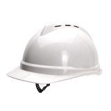 V-Gard500 PE豪华型安全帽10108798